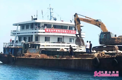 老尹家海參 國家級海洋牧場的“青島樣板”與海水養(yǎng)殖技術研發(fā)新篇章
