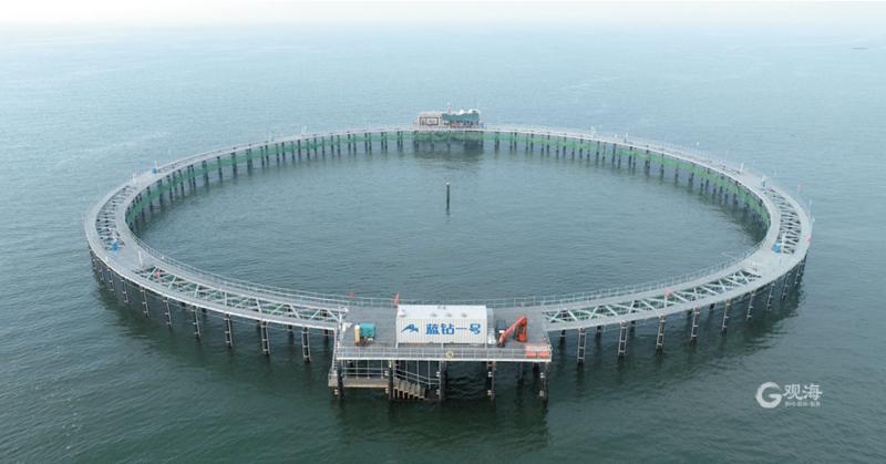 海水魚養(yǎng)殖 從“兩條魚”到“深遠(yuǎn)海”的技術(shù)躍遷